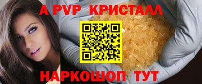 стаф Тула