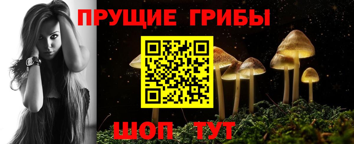 Галлюциногенные грибы Psilocybine cubensis  Псилоцибиновые грибы прущие грибы  Новороссийск  Вход с VPN 