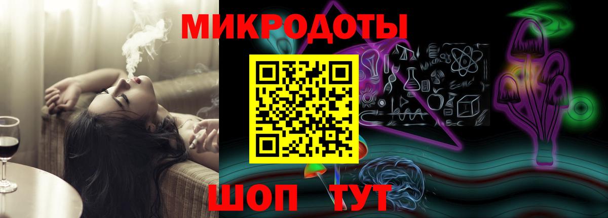 Галлюциногенные грибы Psilocybe Новороссийск